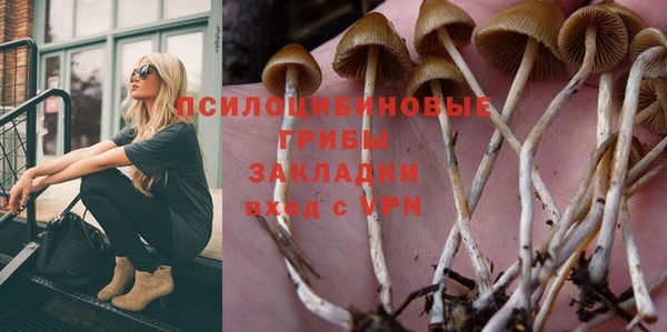 не бодяженный Алексин