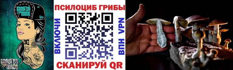 где купить   Снежинск  Галлюциногенные грибы MAGIC MUSHROOMS 